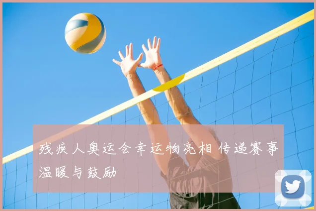 残疾人奥运会幸运物亮相 传递赛事温暖与鼓励
